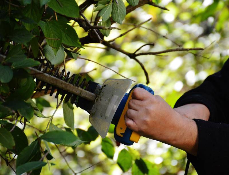 Jardinier pour élagage d'arbre en Normandie proche Bernay